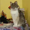 Отзыв от Кира Бессонова